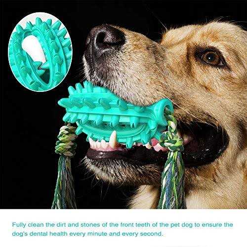 Toothbrush Dog Chew Toy U871549