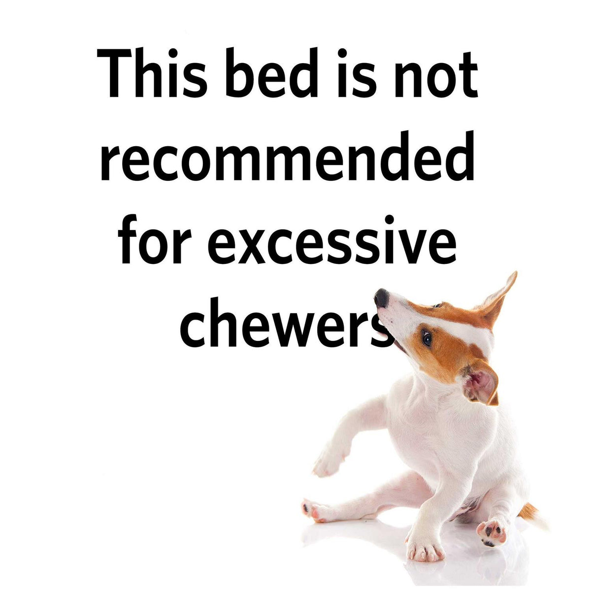 Cushioned Dog Crate Mat Y9847