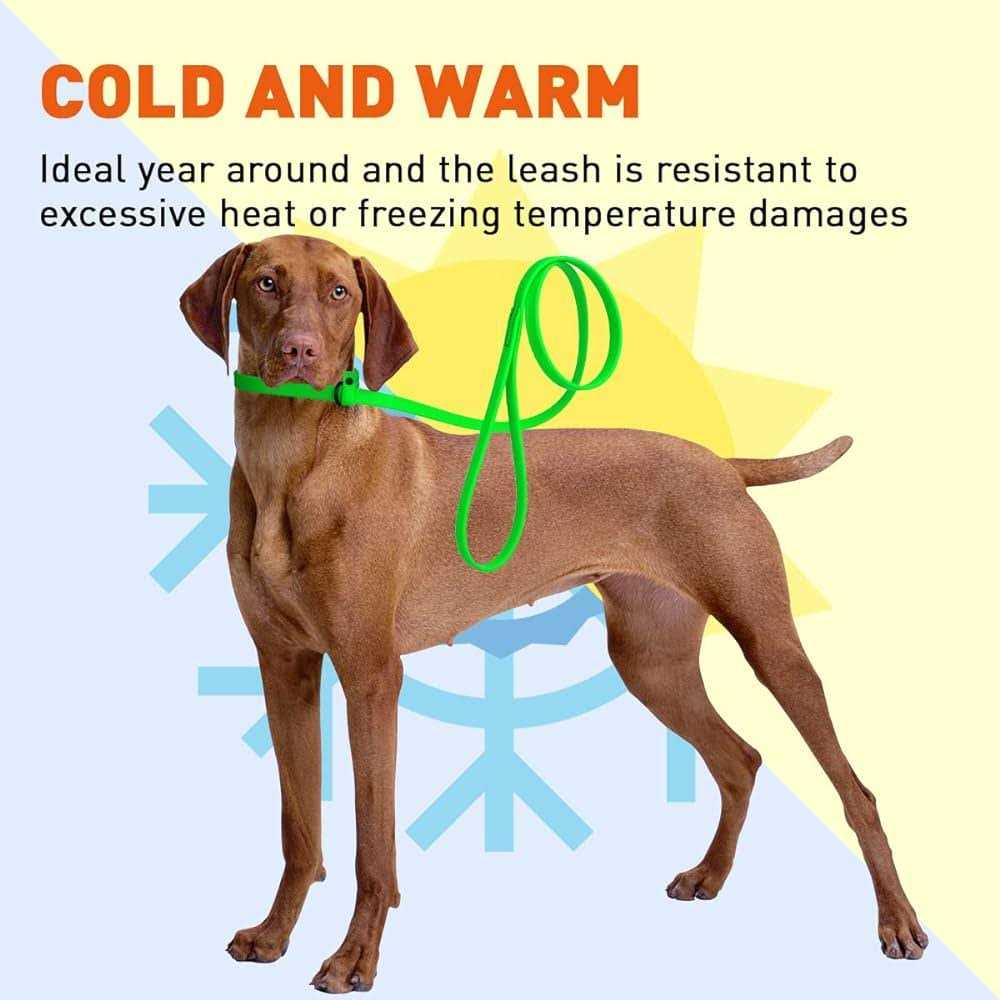 Biothane Slip Dog Leash I52600