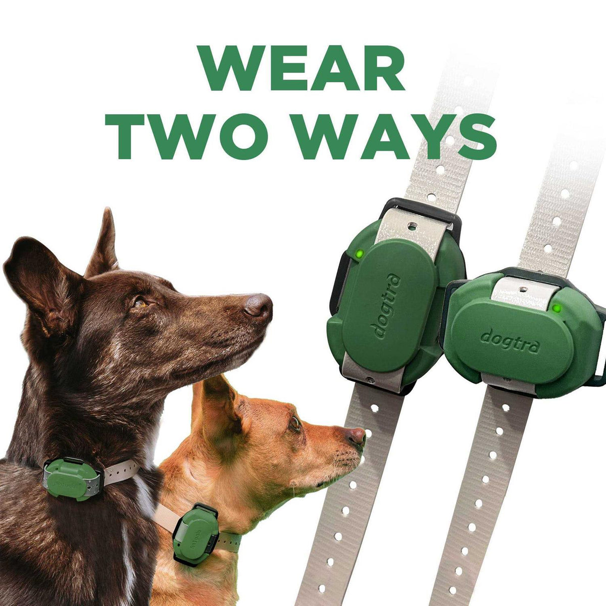 Dog Training Collar V7303