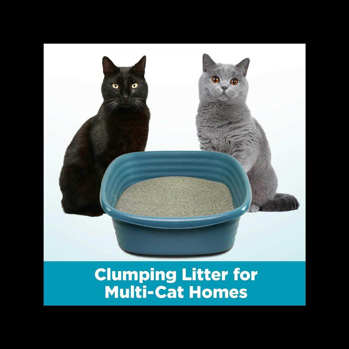 Clumping Multi-Cat Litter B56583