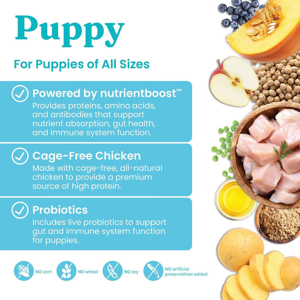 Solid Gold Chicken Dry Dog Food V868668