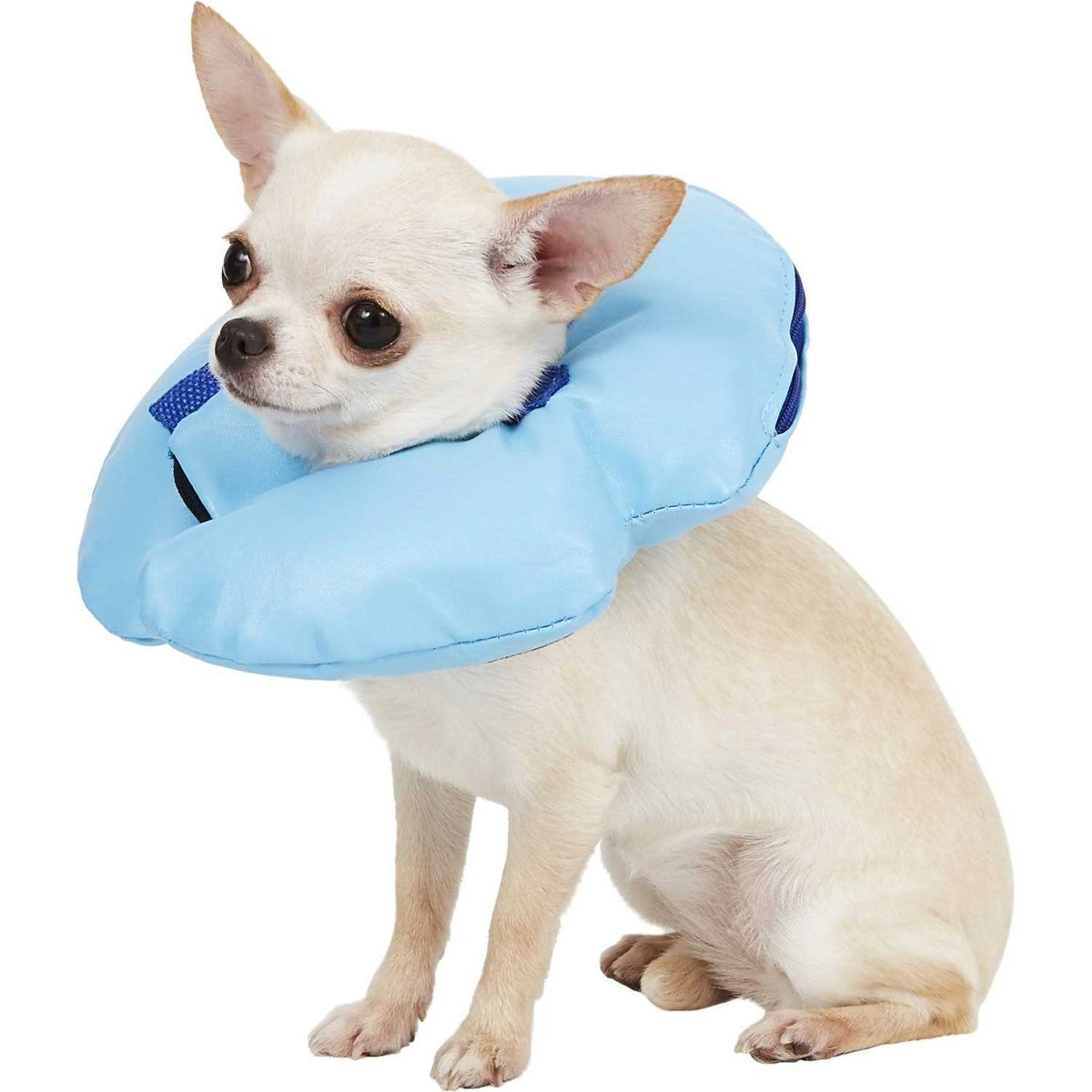 Inflatable Recovery Dog Collar D6771