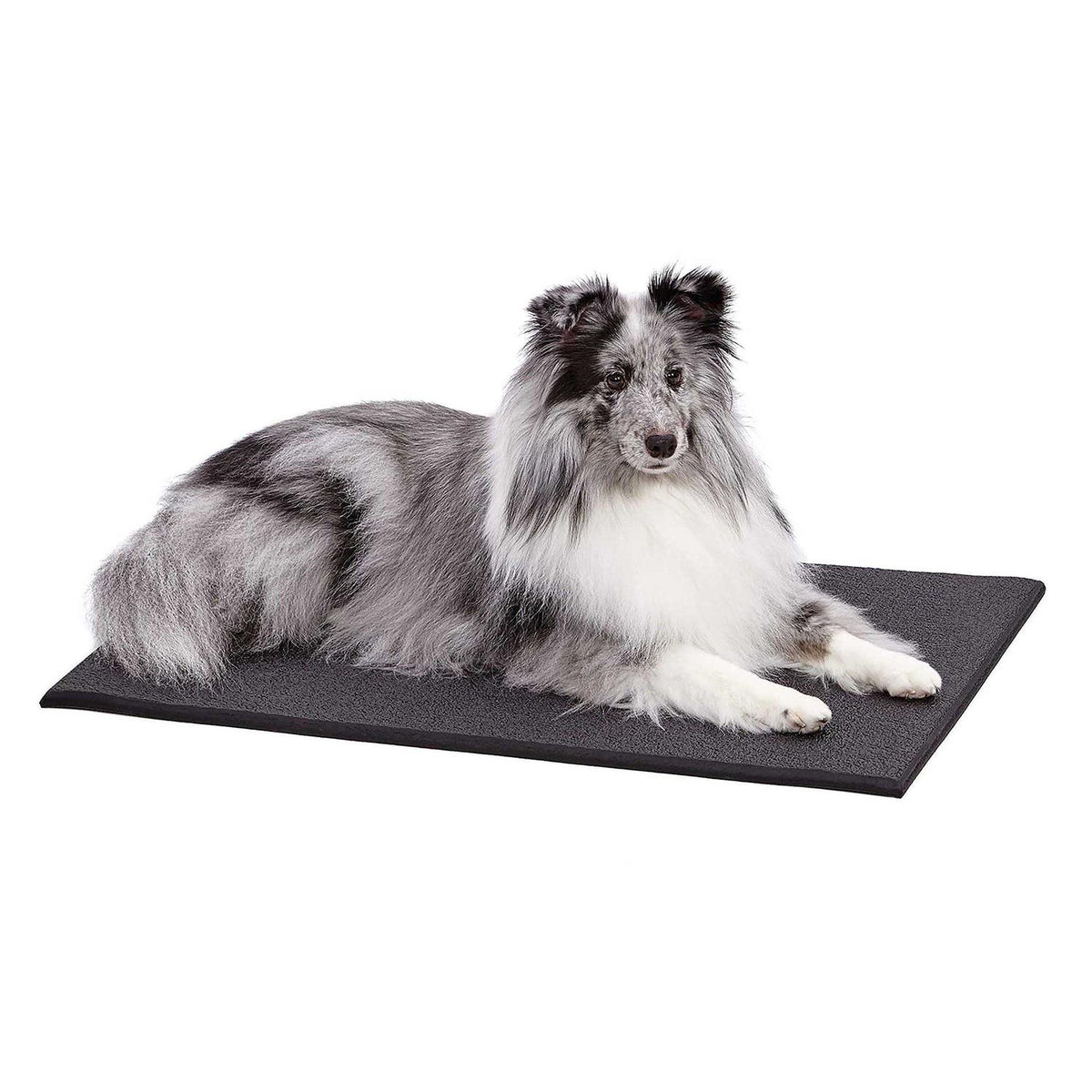 Cushioned Dog Crate Mat Y9847