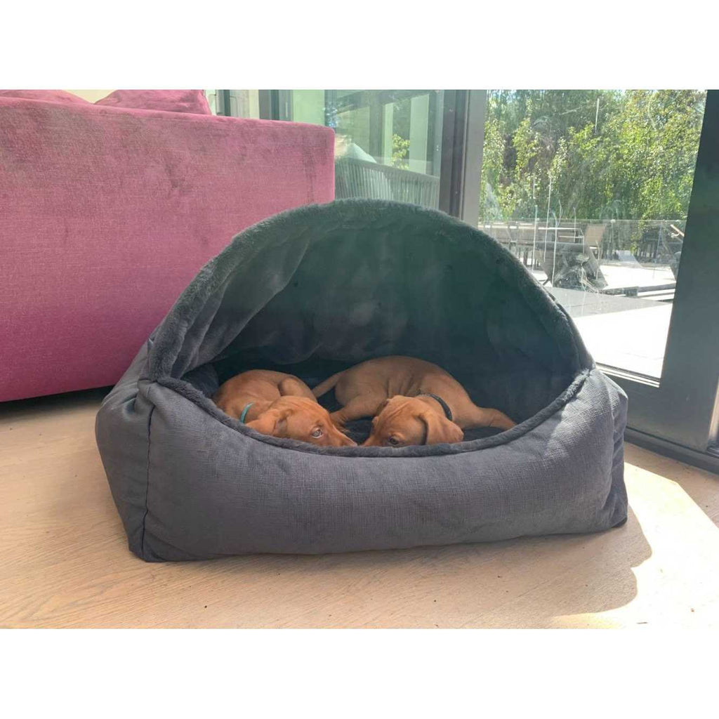 Canopy Dog Bed O227