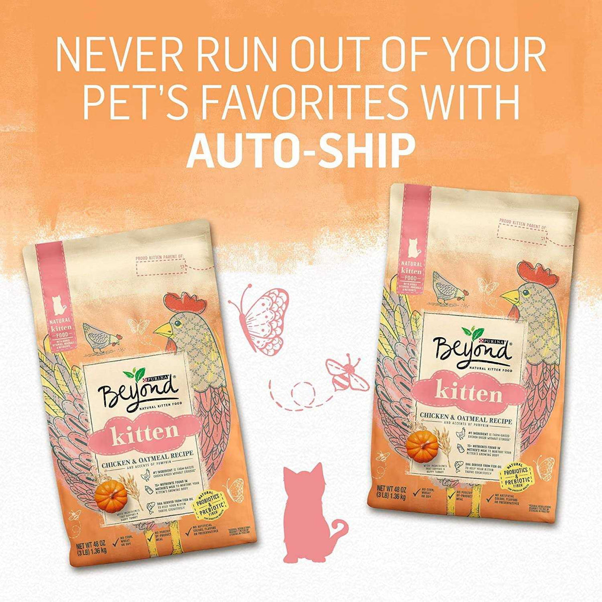 Kitten Food Chicken & Oatmeal R163