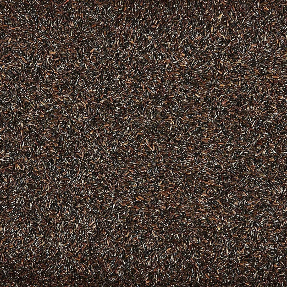 Nyjer Seed Wild Bird Food K7130