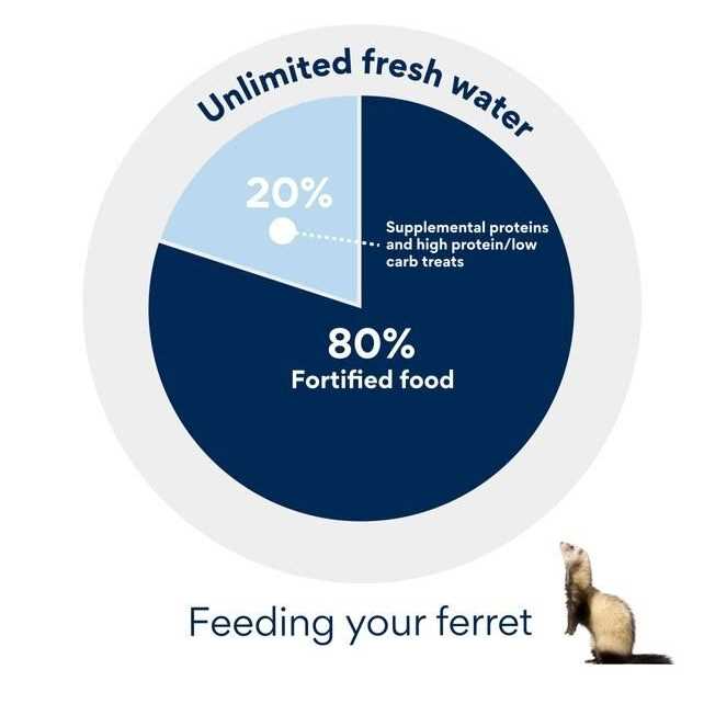 Ferret Formula Pet Supplies E7242