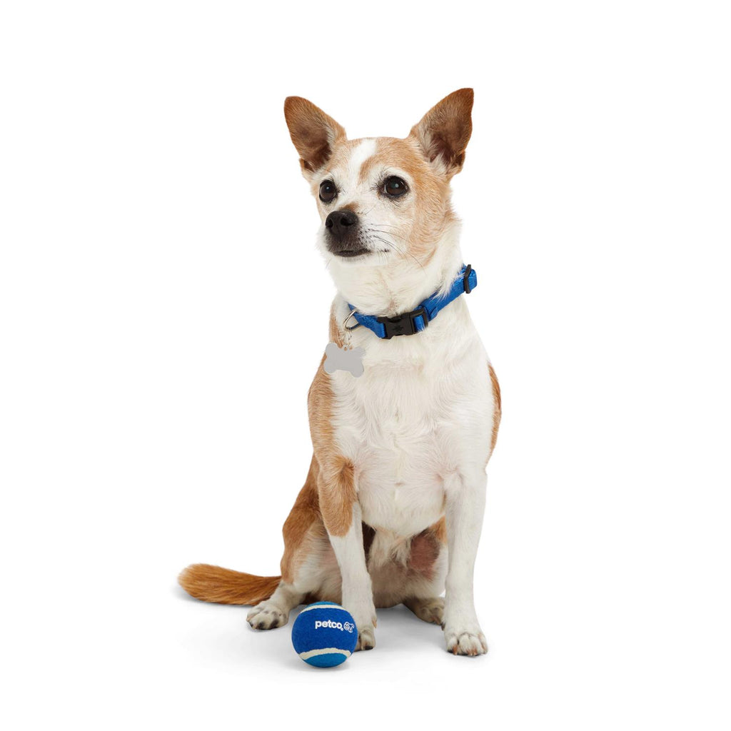 Tennis Ball Dog Toy J9396