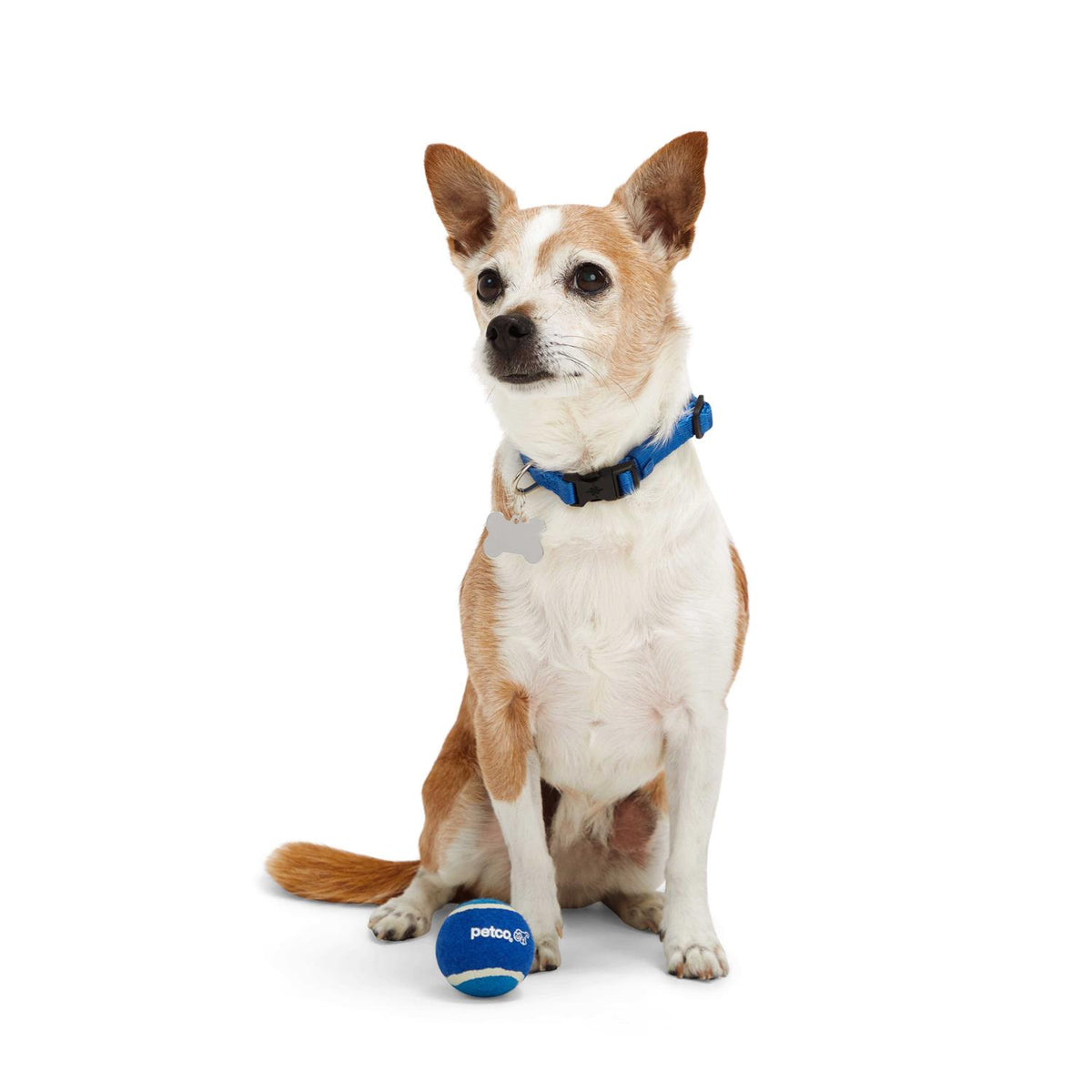 Tennis Ball Dog Toy J9396