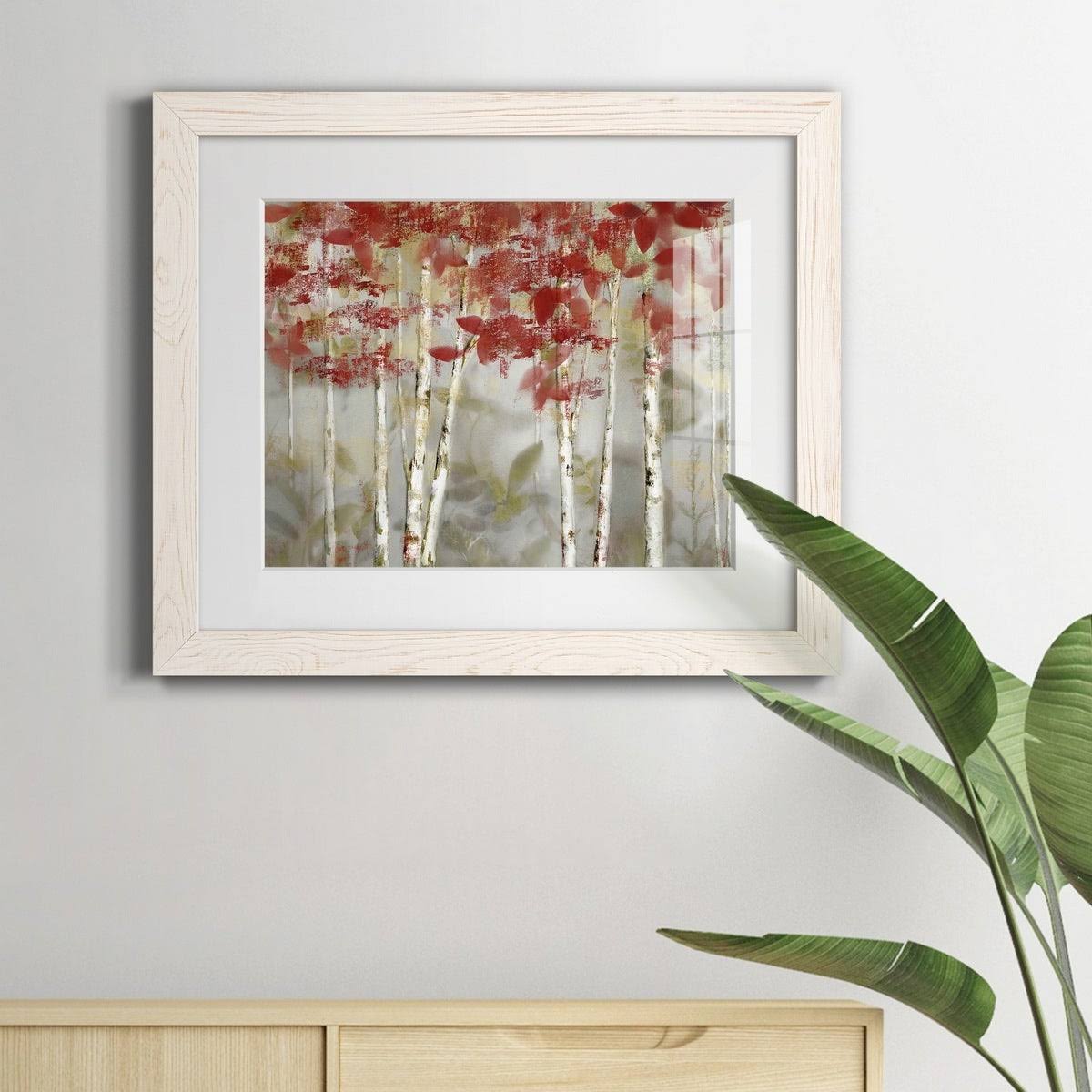Framed Canvas - 20x24 N3611