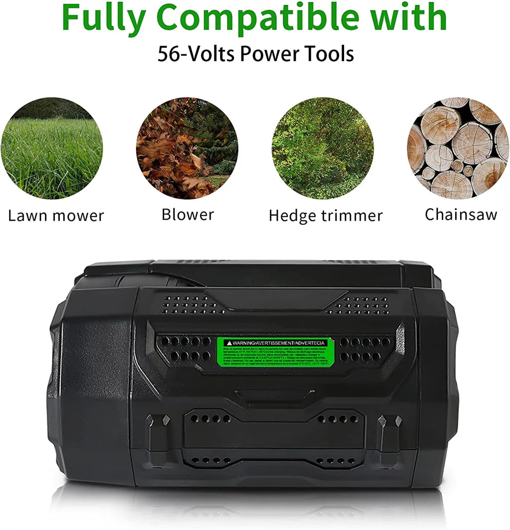 56V 5.0Ah Battery with Fuel Gauge W394