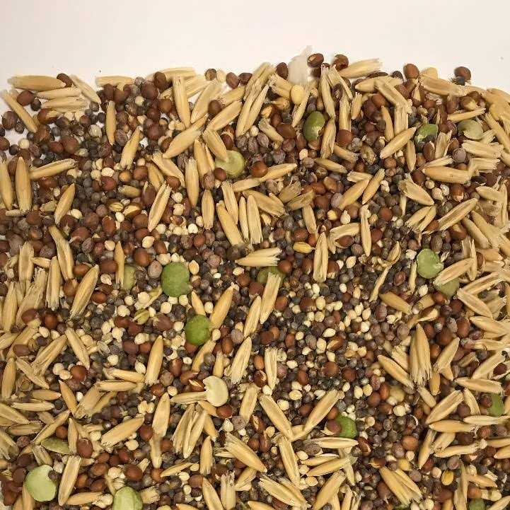 Sprout Blend Bird Treats C7033